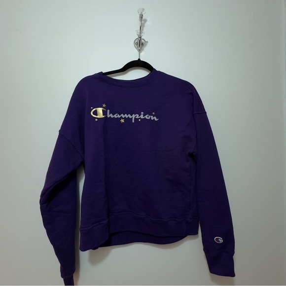 Champion Sweater - Picture 1 of 2